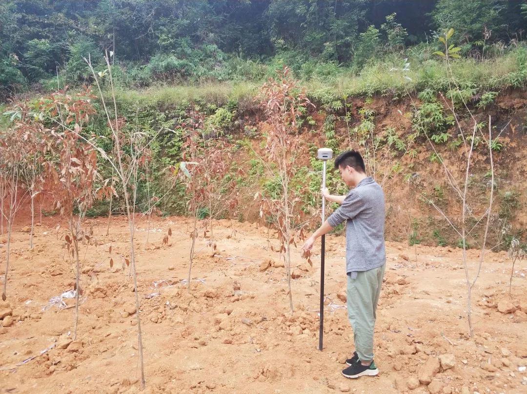 地皮规划部项目纪实丨J9集团人，助力荒地变桑田！