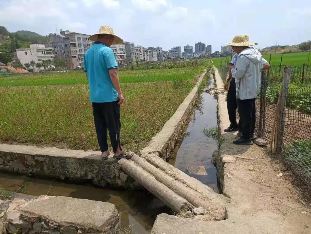 五华高标项目纪实丨助力高尺度农田建设 为村落振兴蓄势赋能