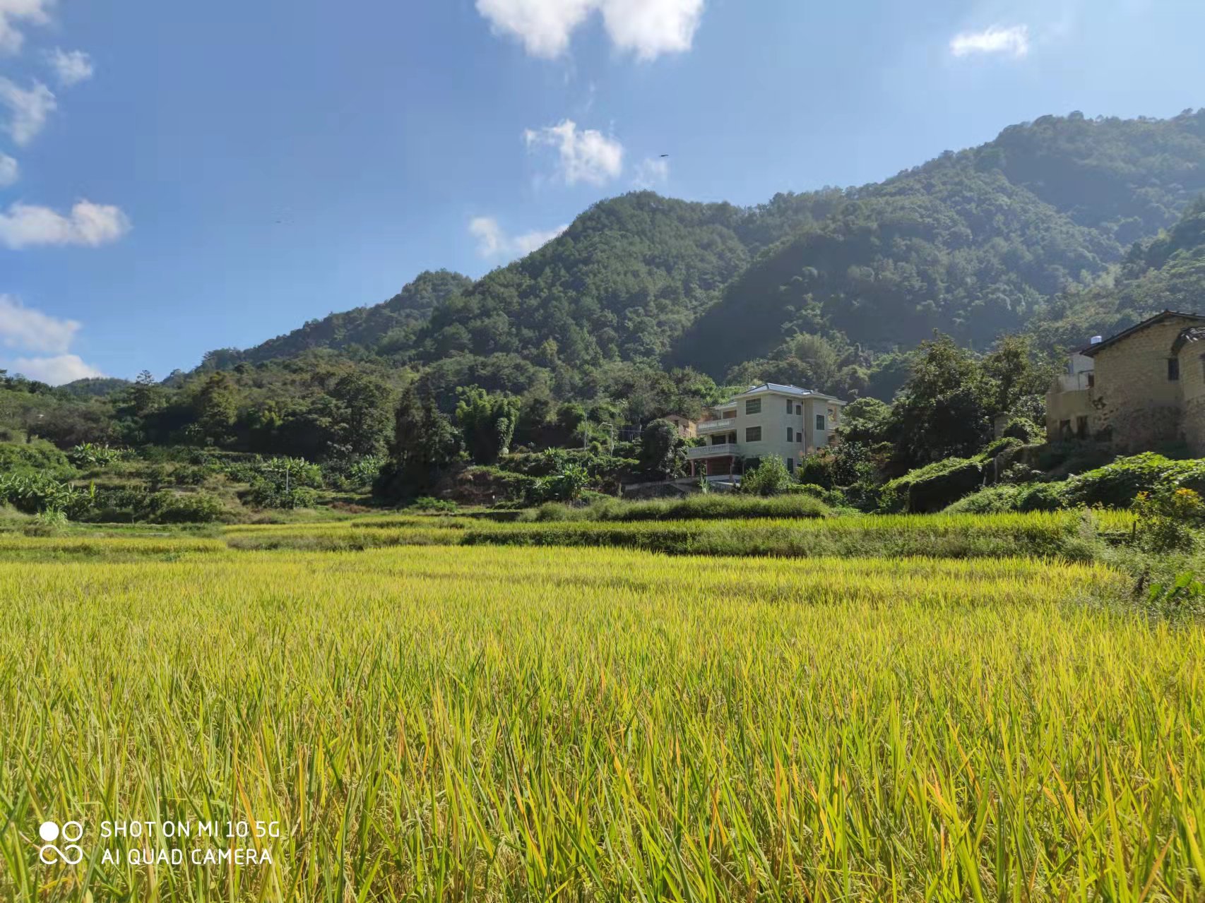 复原（补充）耕地项目怎么干？J9集团有话说