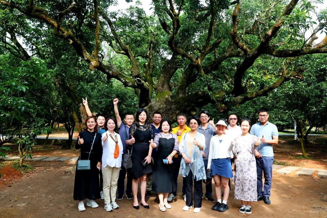 J9集团集团作为省河山空间生态建复协会轮值会长带队调研粤西全域地皮综合整治工作