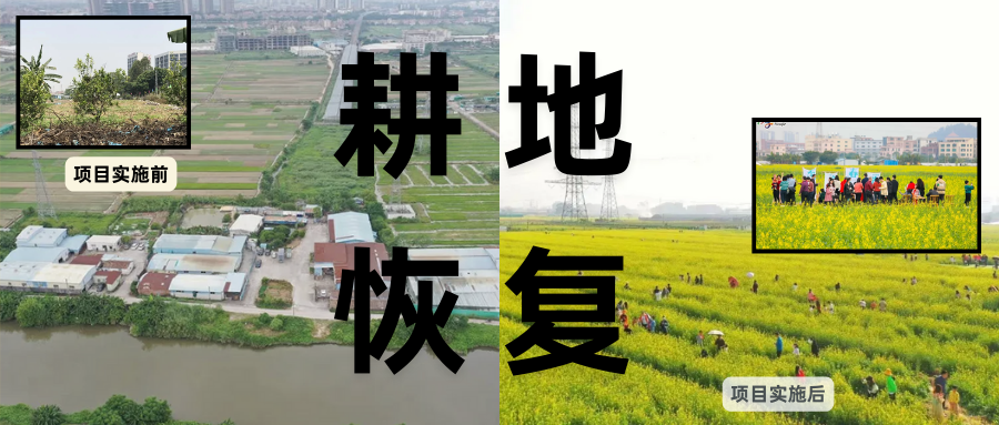 耕地；び刖梅⒄构踩凇甘泻窠终蛩谏缜读继锵钅扛馗丛氤窍缛诤系拇葱率导