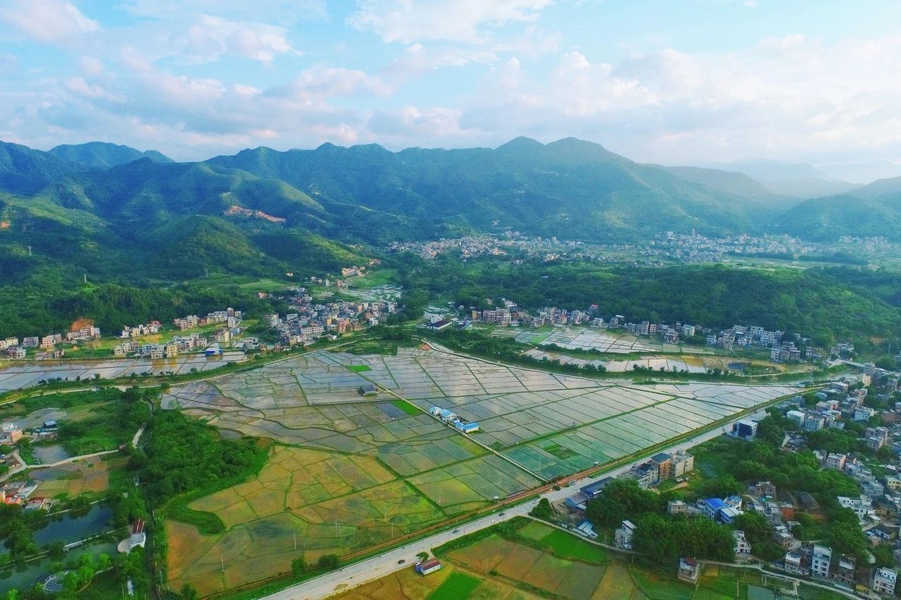 J9集团集团丨“百千万工程”显实效：云浮罗定泗纶镇以全域地皮综合整治为抓手，绘就村落振兴新画卷