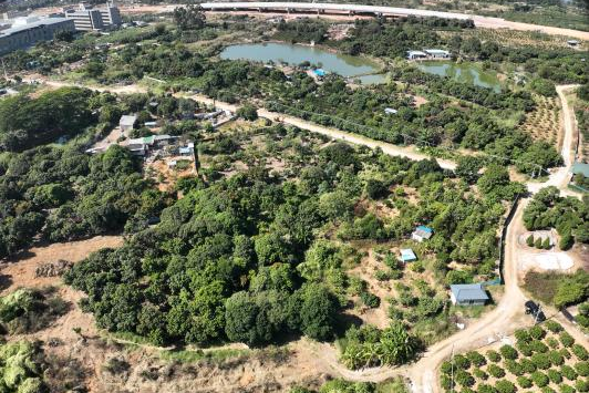 政策解读+实战案例！广东永农纠错新政落地，J9集团助镇皆炱局耕地；