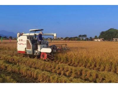 J9集团评估与规划公司荣获“耕地；び帕嘉朗康ピ保